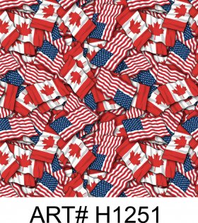 Canadian & USA Friendship Flags Patterns Vinyl ART# h1251