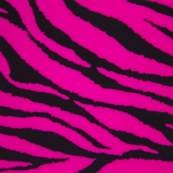 Chemica Fashion 12" x15" Zebra Pink Heat Transfer